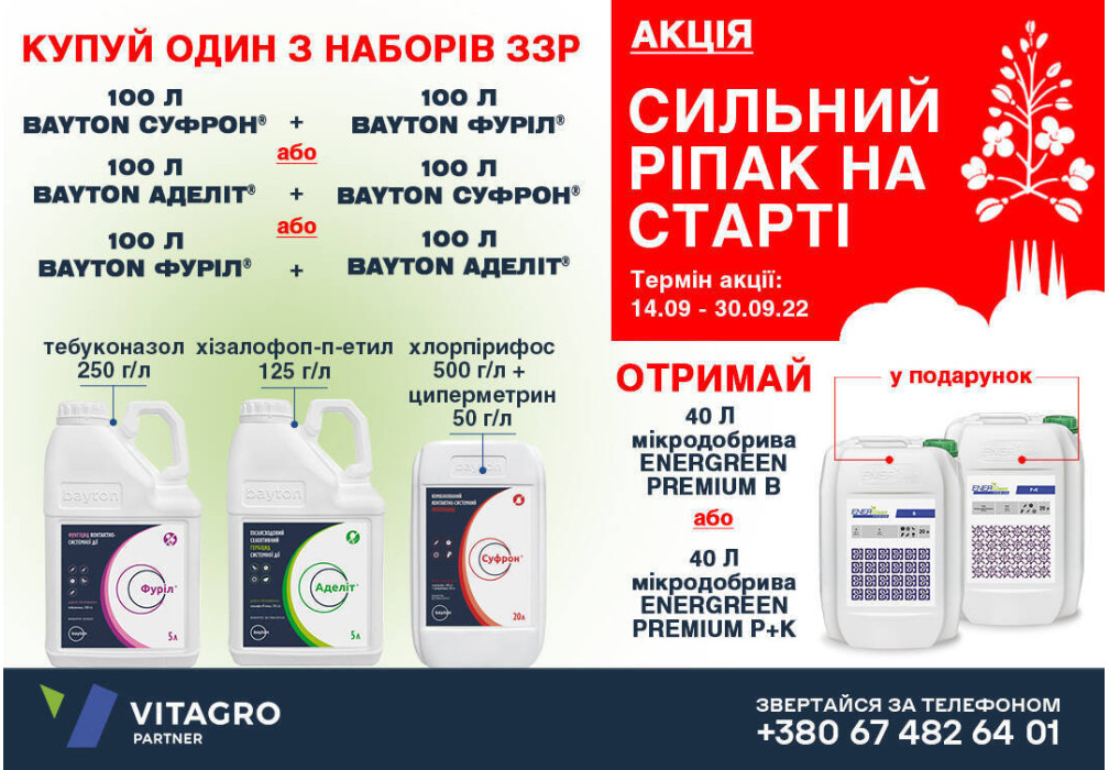 Специальное предложение "Сильный рапс на старте"